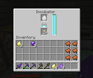 The Enchanted Moa Eggs